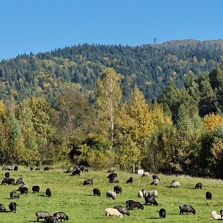 Pod Wulkanem Dom wakacyjny Krosnica (Lesser Poland)