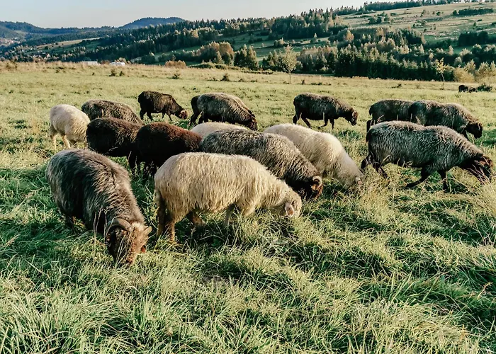 Pod Wulkanem * Krosnica (Lesser Poland)