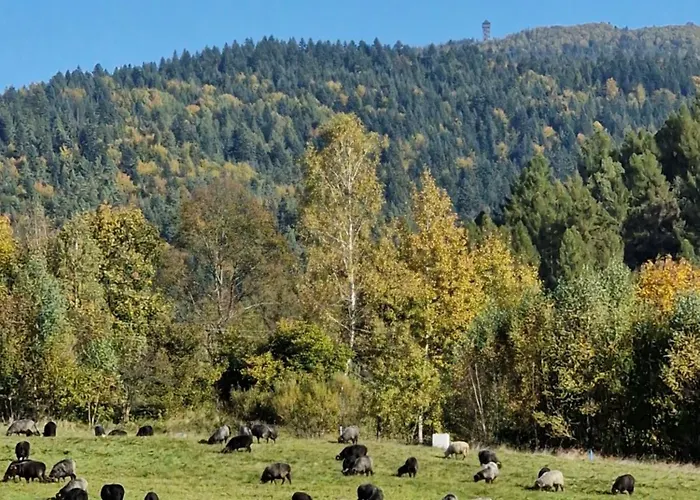 Pod Wulkanem בית נופש Krosnica (Lesser Poland)
